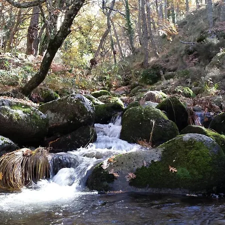 Con Encanto Postigos *