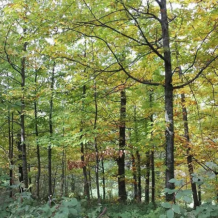 Country house Con Encanto 