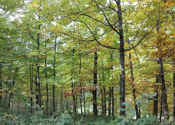 Lantställe Con Encanto 